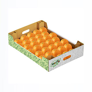 Portakal14/15 KG Karton Kutu